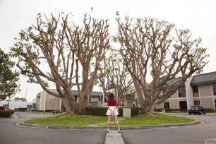 Emily Grey in Zishy set European Vegas